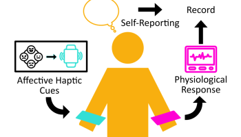 Diagram showing the connection of affective haptic cues, the person, and the physiological response.